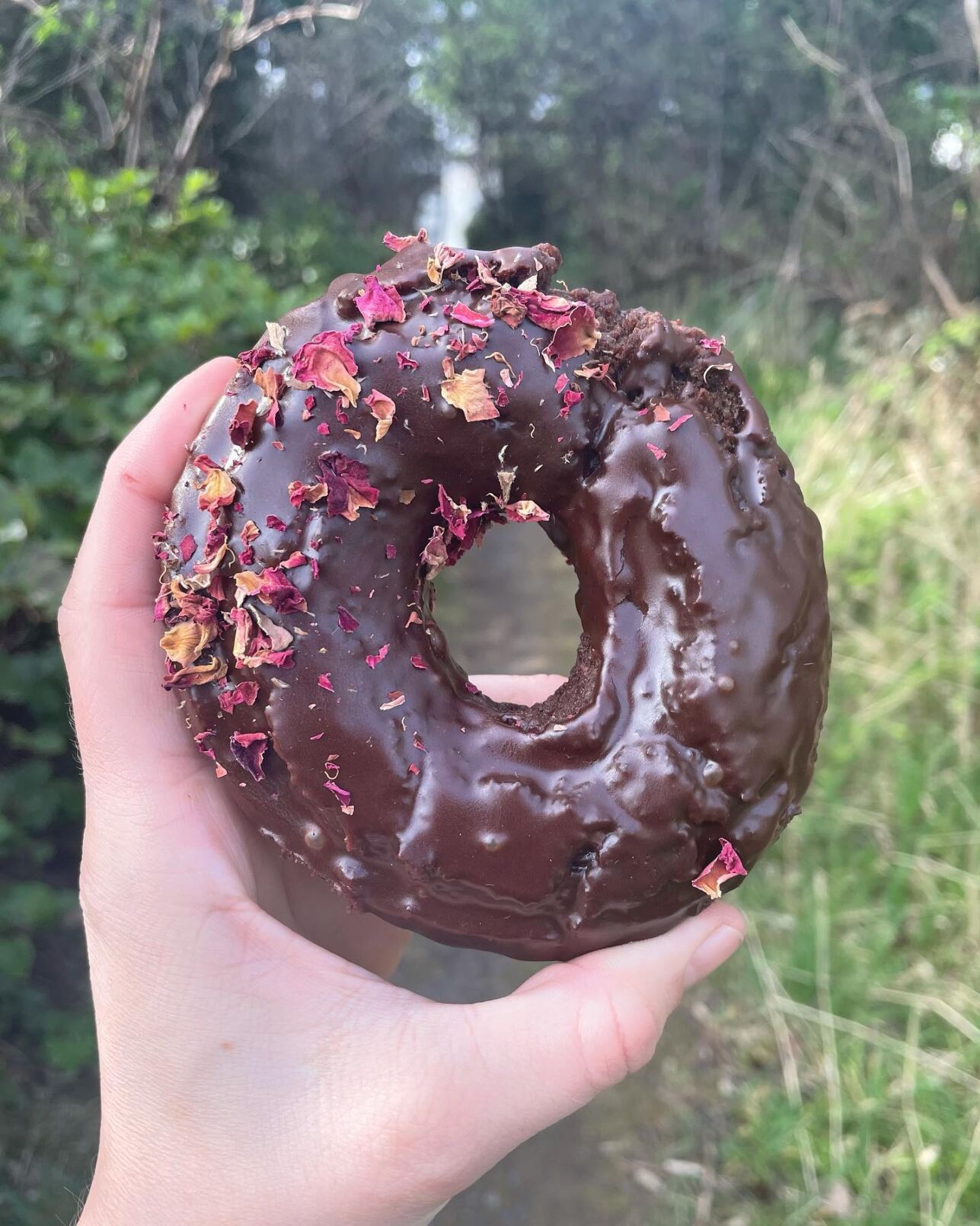 donut1.jpg